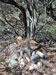 2002 location monument Qz#1 load mining claim