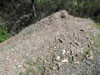 More of old shaft dump More of old shaft dump