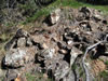 Close-up of old-timer's quartz pile