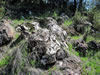 Quartz vein on qz#2 claim