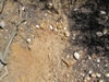 More roadcut soil-gravel