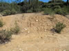 Roadcut
