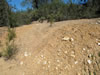 Close-up of soil-gravel horizon in roadcut