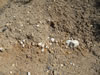 Closer view of gravels