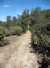 1990's vintage drill road