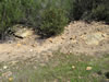 Roadside of drill road