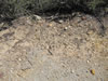 Roadside of drill road