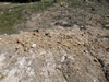Roadside of drill pad