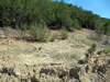 Roadside of drill road