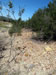 Roadside of drill road